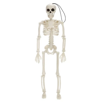 40 см Съемный реквизит с полным человеческим скелетом, украшение для вечеринки в честь Хэллоуина, Реквизит для Дома с привидениями, декор для кладбища 1шт A
