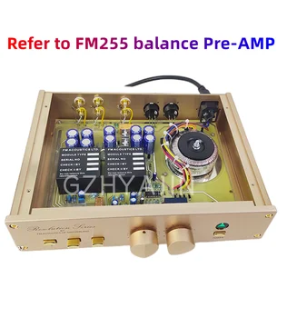 Обратитесь к усилителю Swiss FM255 Balance I класса A Fever Amplifier Фронтальный мини-усилитель домашнего аудио