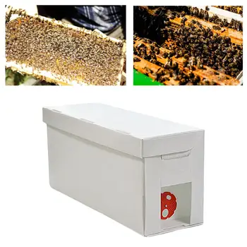 Оборудование для пчелиного опыления, система выращивания пчел, подставка для улья