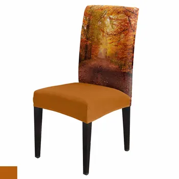 Кленовые листья, лиственный лес, чехол для стула, эластичный чехол для обеденного стула, чехол из спандекса для офисного кресла
