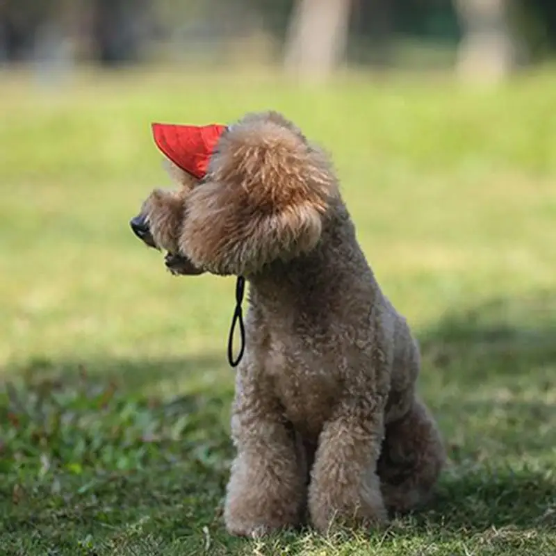 Бейсболка для собак, стильная бейсболка для собак, защита от солнца, стильная маленькая собачья шапочка, щенячья шапочка, собачий капор для ежедневной фотосъемки
