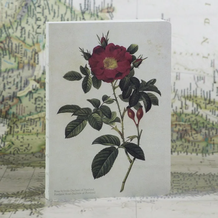 220 страниц Креативный блокнот серии Rose с ручной росписью, бумажный дневник, альбом для рисования, Рождественский подарок