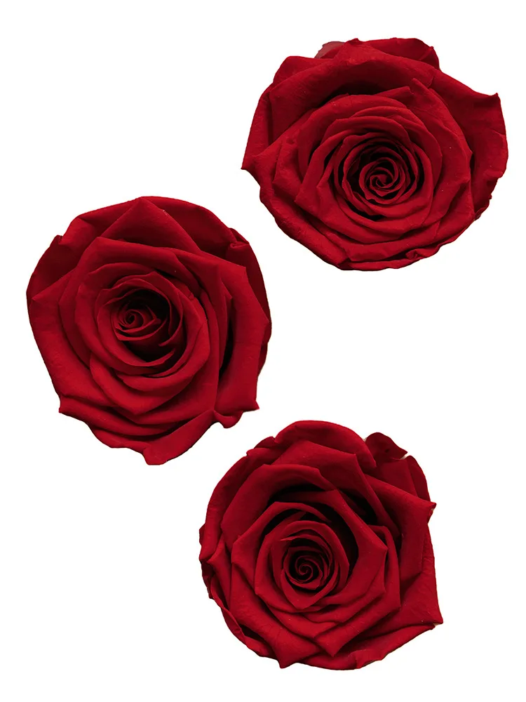 6 шт. / кор. Высококачественная сохраненная головка розы, увековеченная в вечных розах диаметром 5-6 дюймов, Рождественская подарочная коробка на День матери